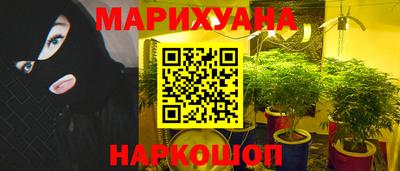 прущие грибы Усть-Илимск